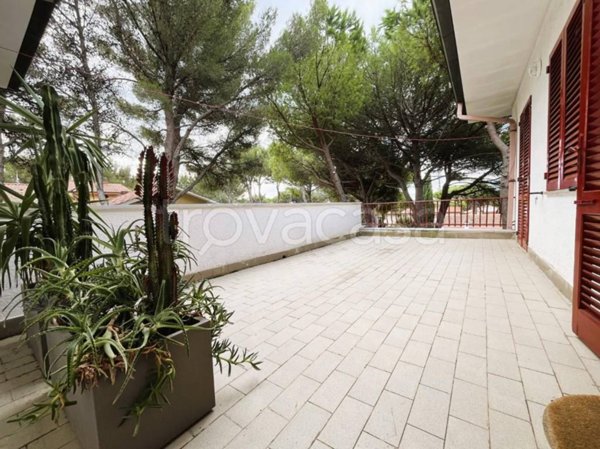 appartamento in vendita a Rosignano Marittimo in zona Castiglioncello