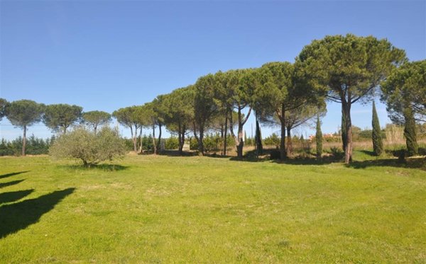 pentavano in vendita a Rosignano Marittimo