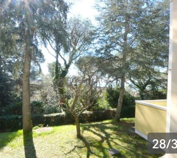 appartamento in vendita a Rosignano Marittimo in zona Castiglioncello