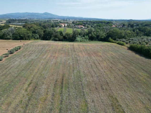 terreno agricolo in vendita a Rosignano Marittimo in zona Vada