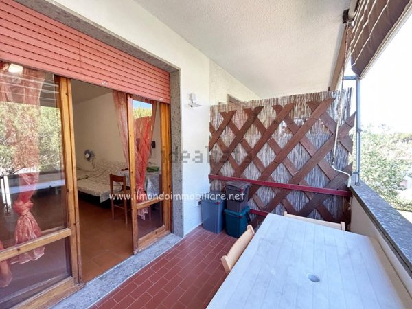 appartamento in vendita a Rosignano Marittimo