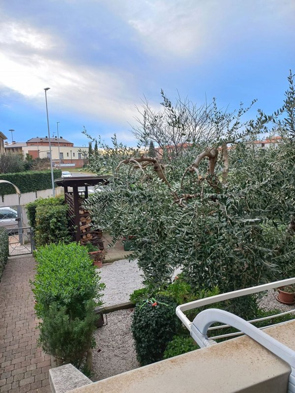 appartamento in vendita a Rosignano Marittimo in zona Vada