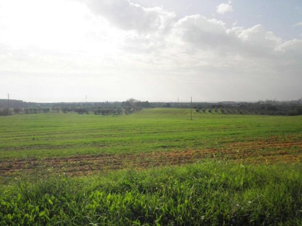 terreno agricolo in vendita a Rosignano Marittimo in zona Vada