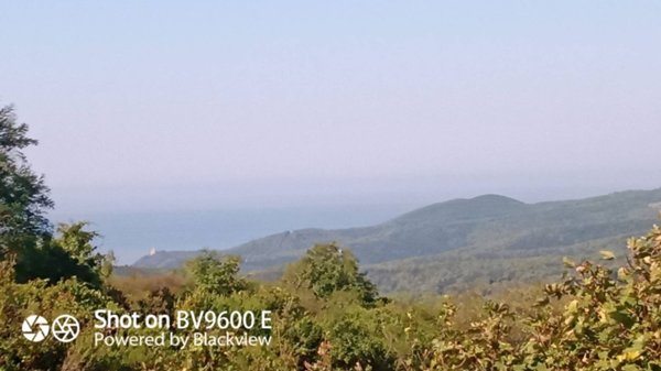 terreno agricolo in vendita a Rosignano Marittimo in zona Castiglioncello