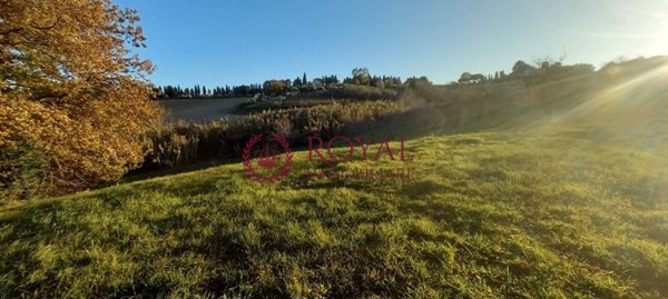 terreno agricolo a Rosignano Marittimo in zona Castelnuovo della Misericordia