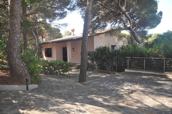 casa indipendente in vendita a Rosignano Marittimo