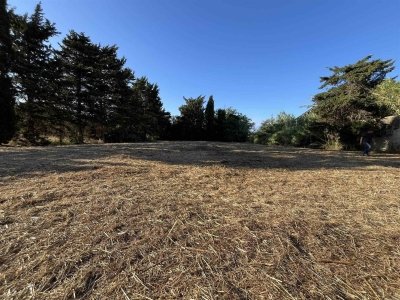 terreno agricolo in vendita a Rosignano Marittimo in zona Vada