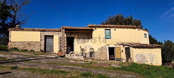 pentavano in vendita a Rosignano Marittimo