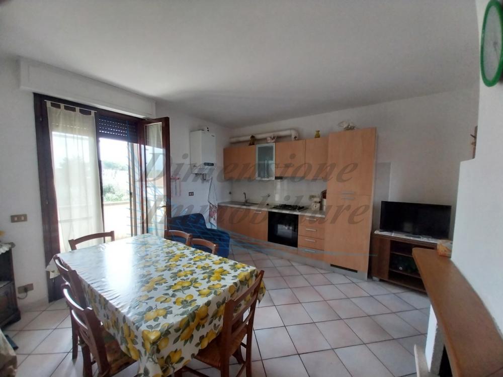 appartamento in vendita a Rosignano Marittimo in zona Vada