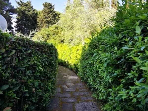 appartamento in vendita a Rosignano Marittimo in zona Vada