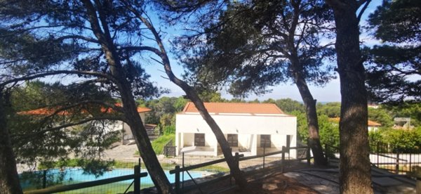 appartamento in vendita a Rosignano Marittimo in zona Castiglioncello