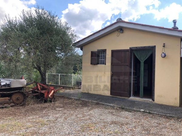 locale commerciale in vendita a Rosignano Marittimo in zona Castiglioncello