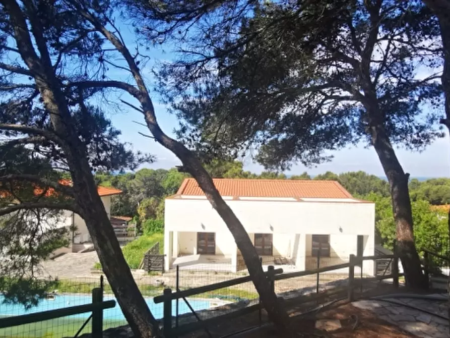 appartamento in vendita a Rosignano Marittimo in zona Castiglioncello