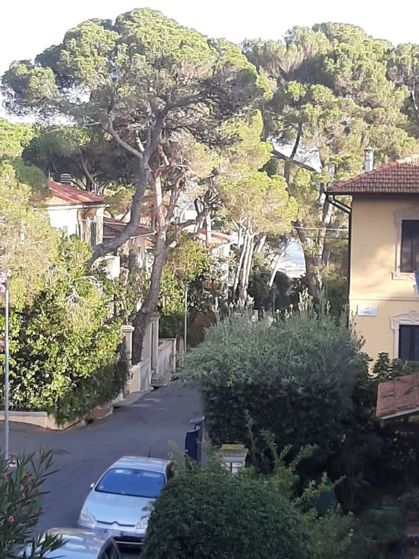 appartamento in vendita a Rosignano Marittimo in zona Castiglioncello