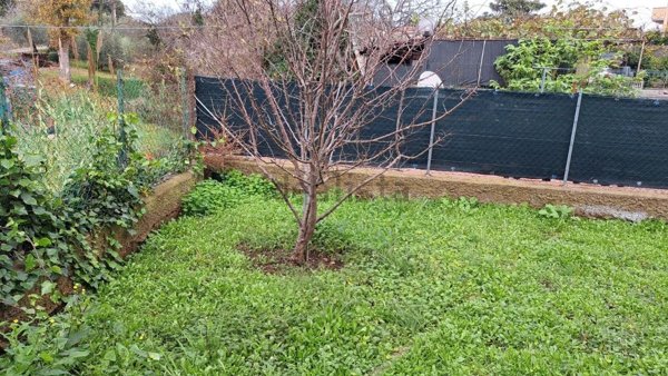 appartamento in vendita a Rosignano Marittimo in zona Rosignano Solvay