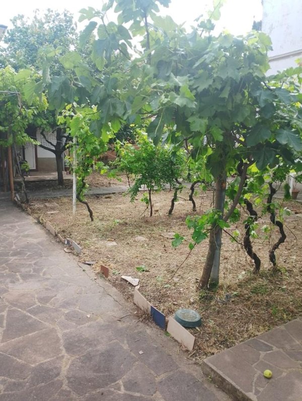 casa indipendente in vendita a Rosignano Marittimo