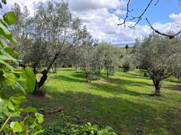 casa indipendente a Rosignano Marittimo in zona Castelnuovo della Misericordia