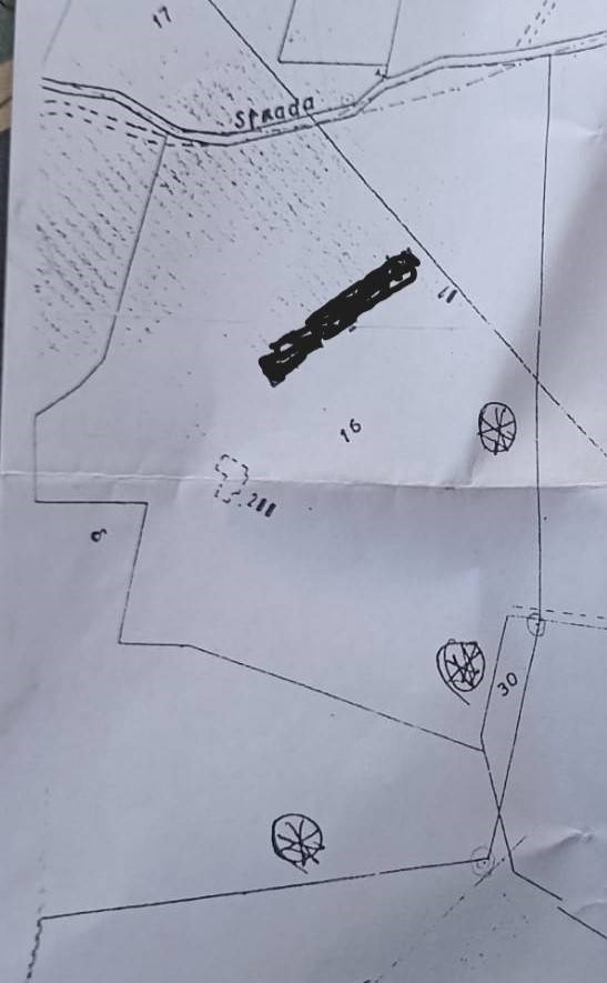 appartamento in vendita a Rosignano Marittimo