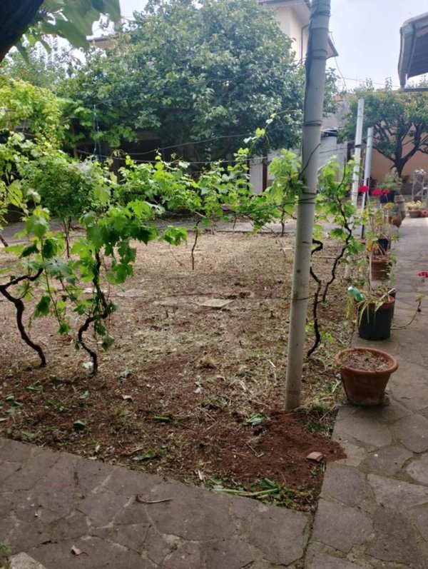 casa indipendente in vendita a Rosignano Marittimo
