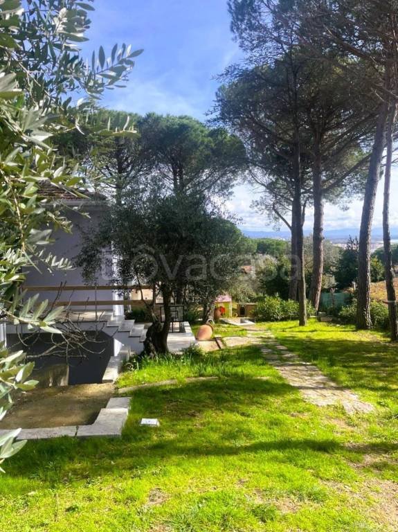 casa indipendente in vendita a Rosignano Marittimo in zona Castiglioncello