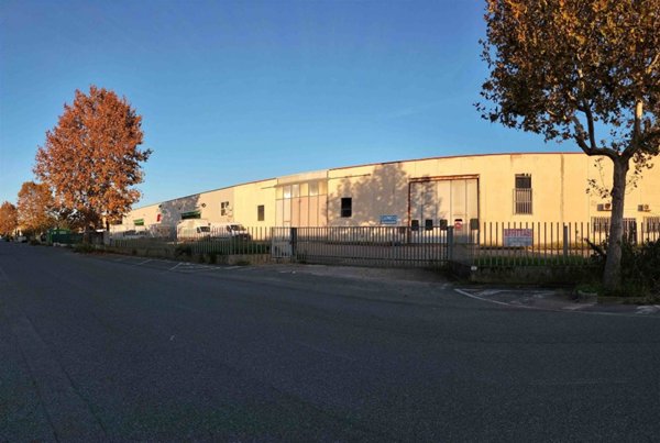 capannone in vendita a Rosignano Marittimo