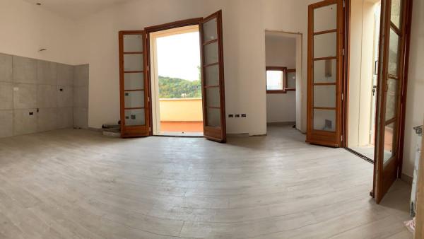 appartamento in vendita a Rosignano Marittimo