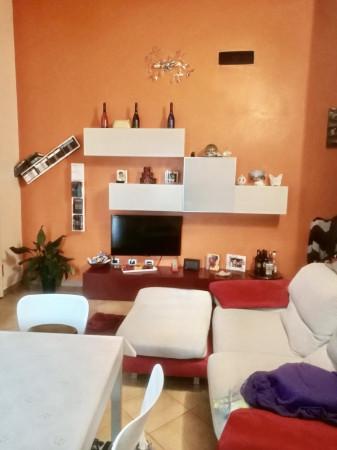 appartamento in vendita a Rosignano Marittimo