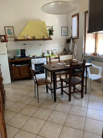 appartamento in vendita a Rosignano Marittimo