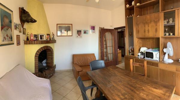 appartamento in vendita a Rosignano Marittimo