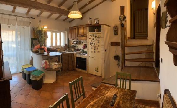 appartamento in vendita a Rosignano Marittimo