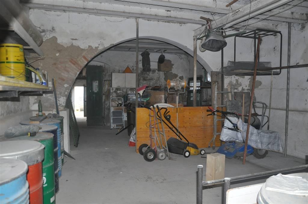 negozio in vendita a Rosignano Marittimo in zona Vada
