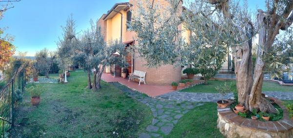 casa indipendente in vendita a Rosignano Marittimo