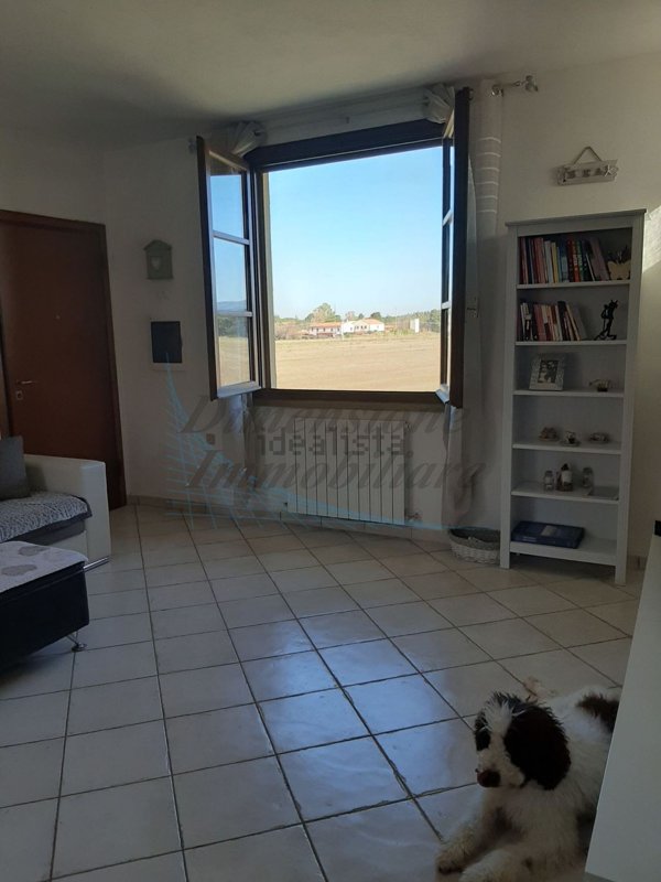 appartamento in vendita a Rosignano Marittimo