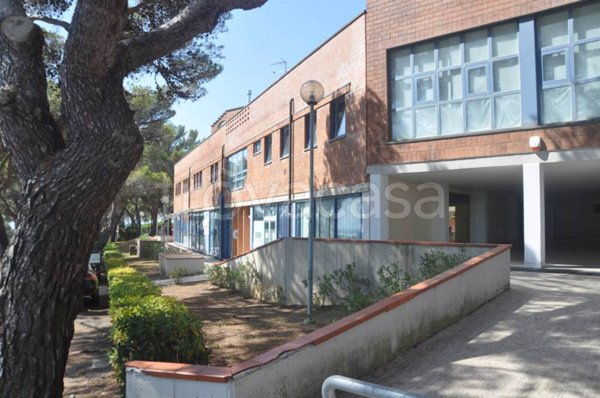 ufficio in vendita a Rosignano Marittimo in zona Castiglioncello