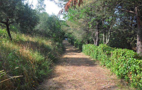 locale di sgombero in vendita a Rosignano Marittimo in zona Nibbiaia