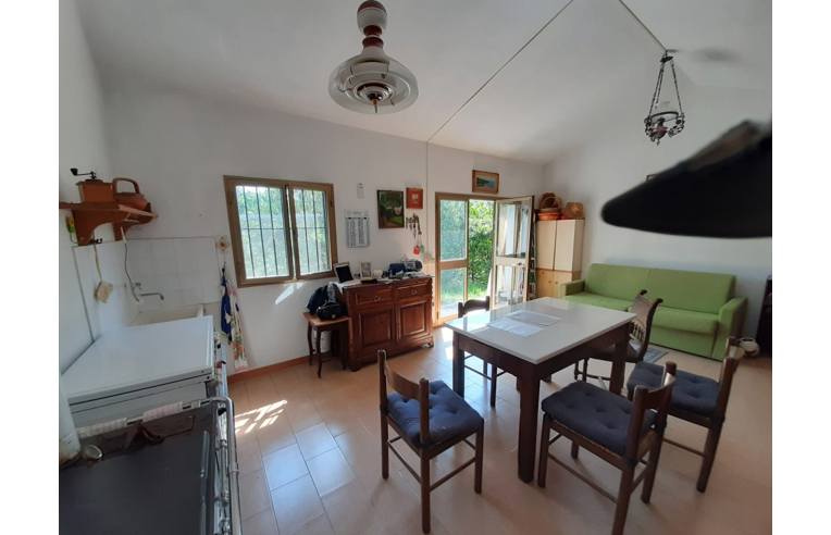 terreno agricolo in vendita a Rosignano Marittimo