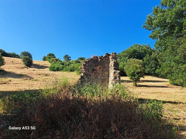 terreno agricolo a Rosignano Marittimo in zona Castelnuovo della Misericordia