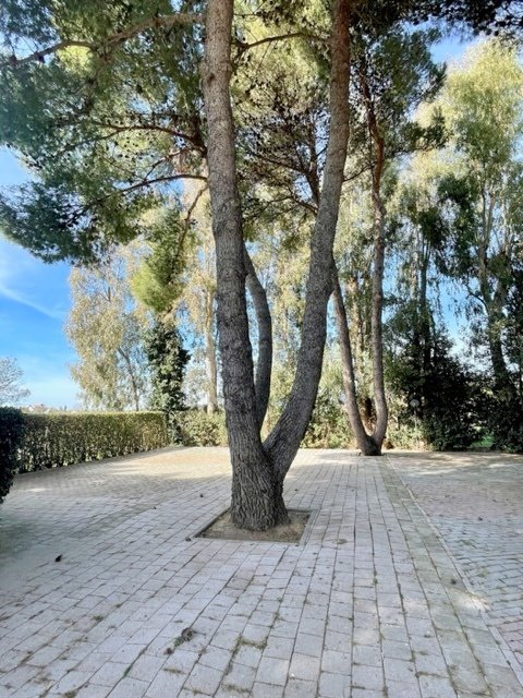 appartamento in vendita a Rosignano Marittimo in zona Vada