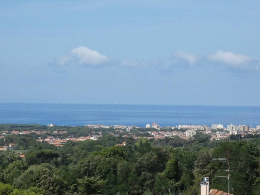 appartamento in vendita a Rosignano Marittimo