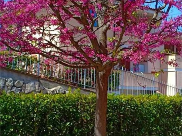 appartamento in vendita a Rosignano Marittimo in zona Nibbiaia