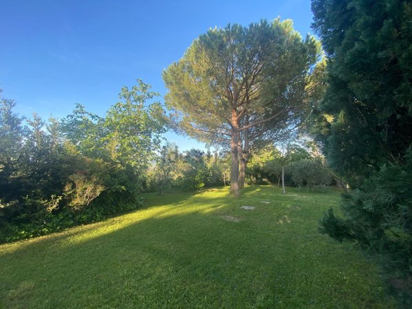 casa indipendente in vendita a Rosignano Marittimo