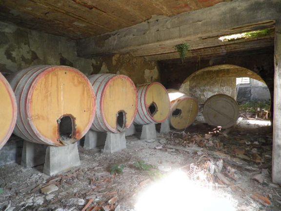 negozio in vendita a Rosignano Marittimo in zona Vada
