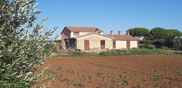 negozio in vendita a Rosignano Marittimo in zona Vada