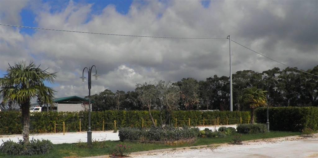 negozio in vendita a Rosignano Marittimo in zona Vada