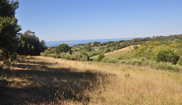 negozio in vendita a Rosignano Marittimo