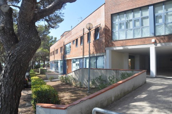 negozio in vendita a Rosignano Marittimo in zona Castiglioncello