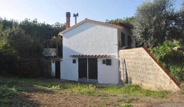 negozio in vendita a Rosignano Marittimo