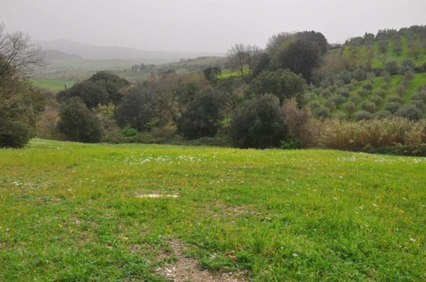 negozio in vendita a Rosignano Marittimo