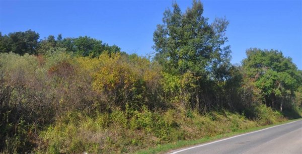 terreno agricolo in vendita a Rosignano Marittimo