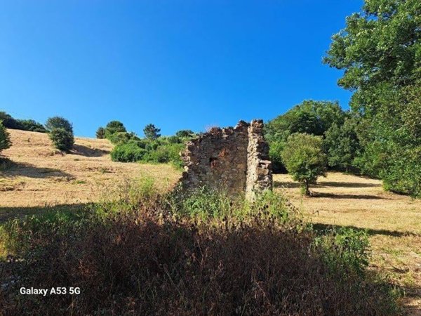 terreno agricolo a Rosignano Marittimo in zona Castelnuovo della Misericordia